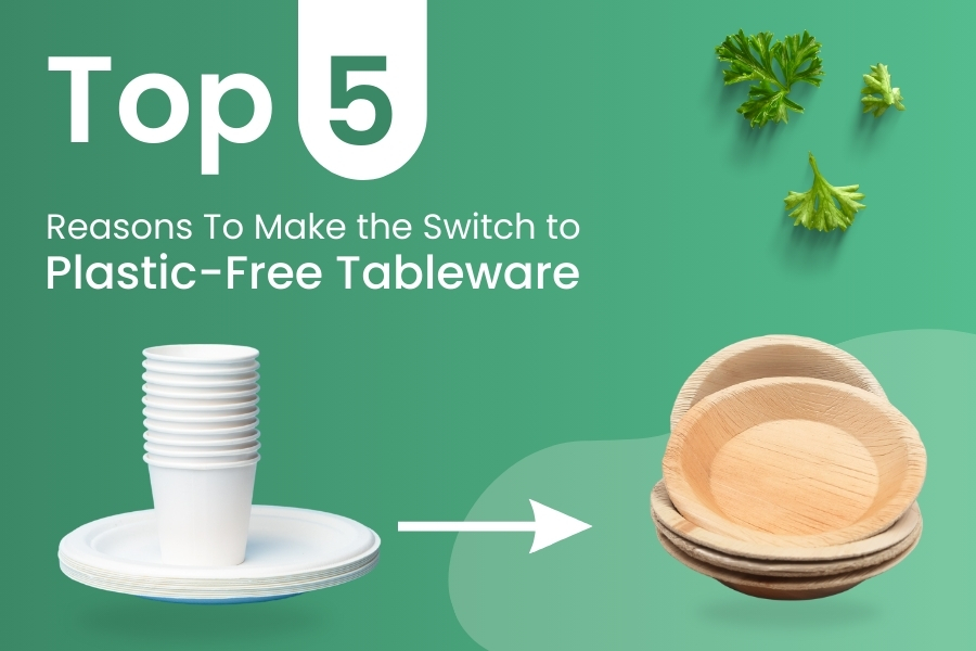 Top 5 Reasons to Make the Switch to Plastic-Free Tableware