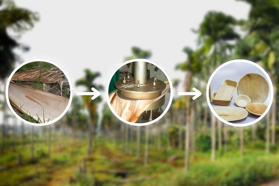 The Journey of Palm Leaf Tableware: From Forest to Your Table