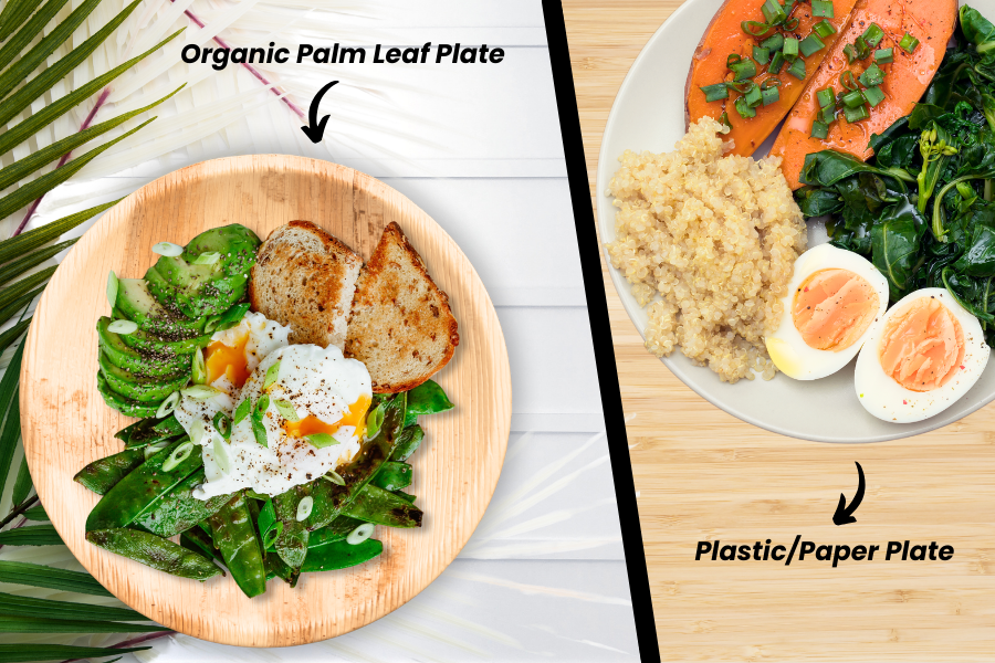 The Health Benefits of Palm Leaf Tableware: Eco-Friendly Choice without Toxins