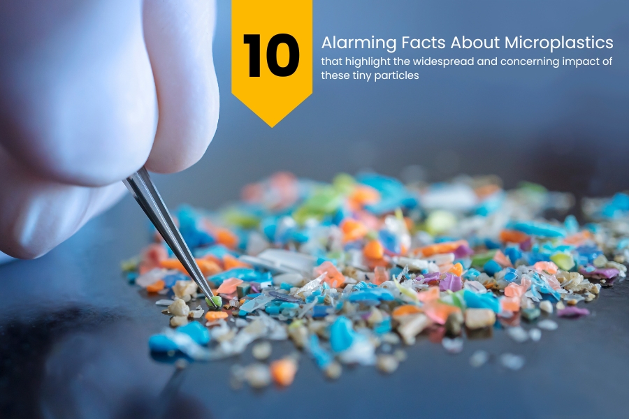 10 Alarming facts about microplastics that highlight the widespread and concerning impact of these tiny particles